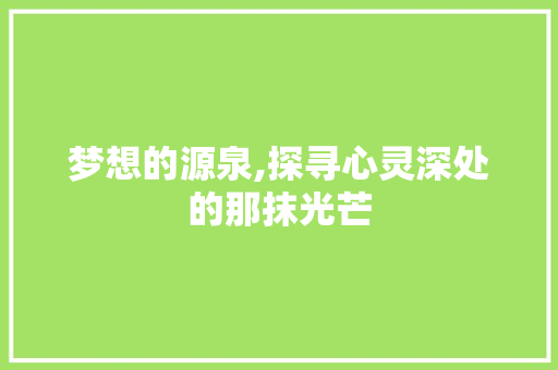 梦想的源泉,探寻心灵深处的那抹光芒