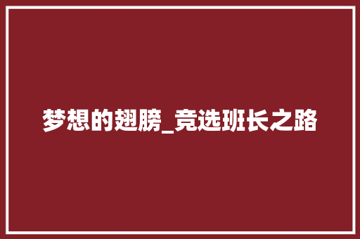 梦想的翅膀_竞选班长之路