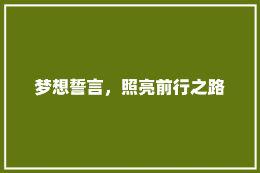 梦想誓言，照亮前行之路