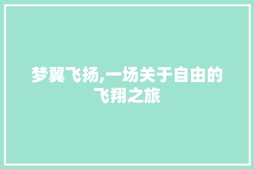 梦翼飞扬,一场关于自由的飞翔之旅