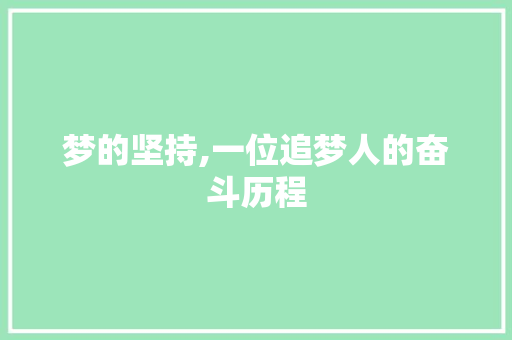 梦的坚持,一位追梦人的奋斗历程