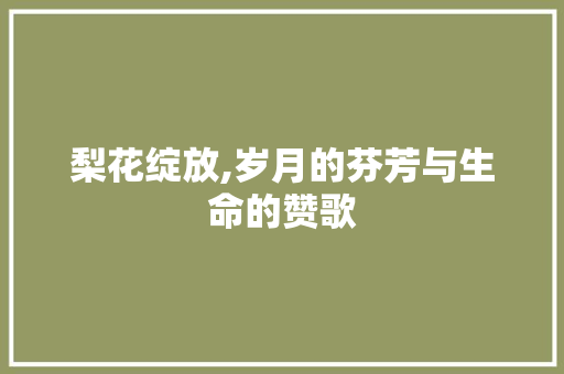 梨花绽放,岁月的芬芳与生命的赞歌