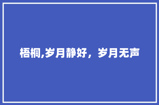 梧桐,岁月静好，岁月无声