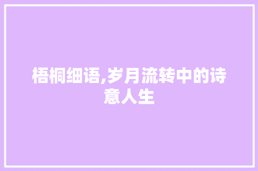 梧桐细语,岁月流转中的诗意人生