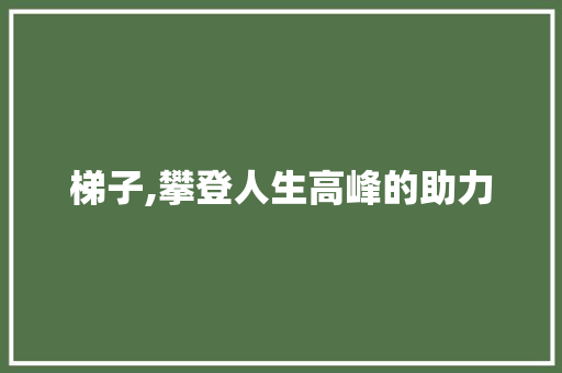 梯子,攀登人生高峰的助力