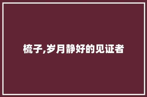 梳子,岁月静好的见证者