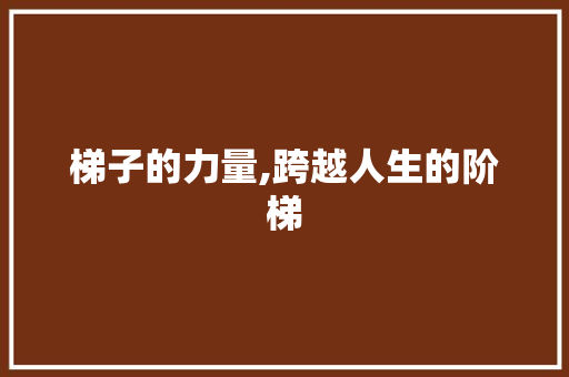 梯子的力量,跨越人生的阶梯