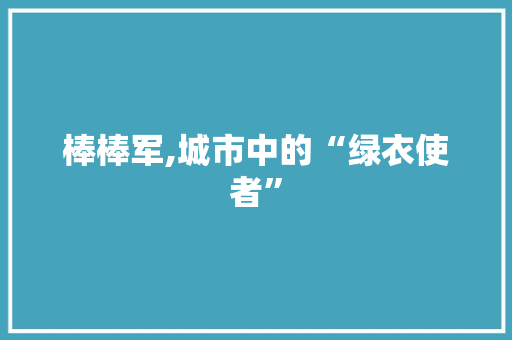 棒棒军,城市中的“绿衣使者”