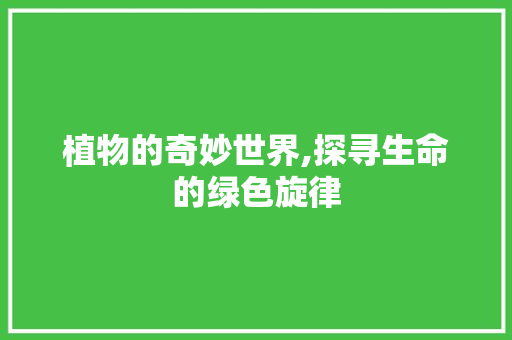 植物的奇妙世界,探寻生命的绿色旋律