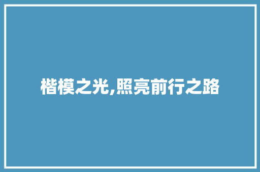 楷模之光,照亮前行之路