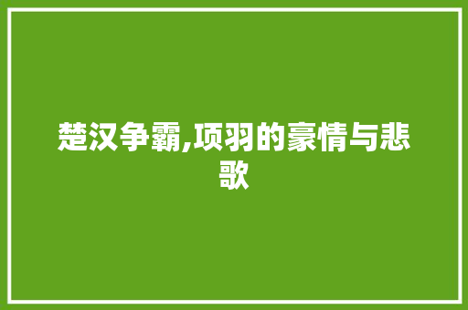 楚汉争霸,项羽的豪情与悲歌