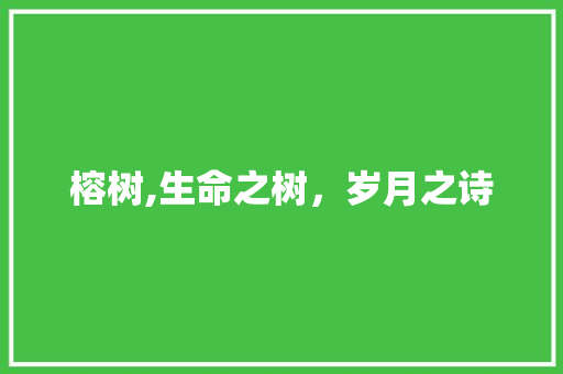 榕树,生命之树，岁月之诗