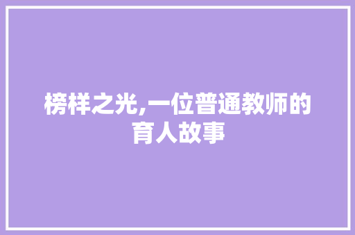 榜样之光,一位普通教师的育人故事