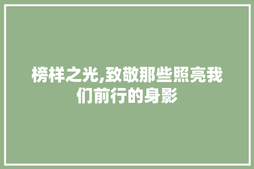 榜样之光,致敬那些照亮我们前行的身影