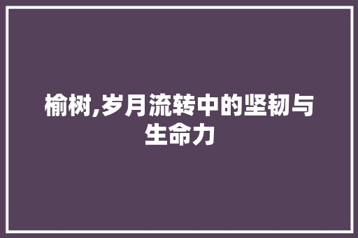 榆树,岁月流转中的坚韧与生命力