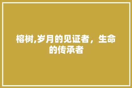 榕树,岁月的见证者，生命的传承者