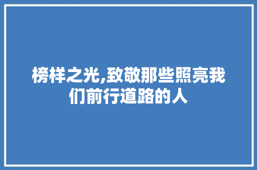 榜样之光,致敬那些照亮我们前行道路的人