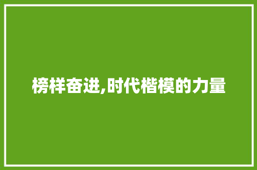 榜样奋进,时代楷模的力量