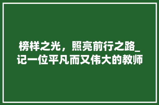 榜样之光，照亮前行之路_记一位平凡而又伟大的教师