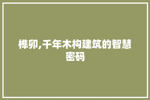 榫卯,千年木构建筑的智慧密码