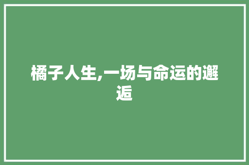 橘子人生,一场与命运的邂逅