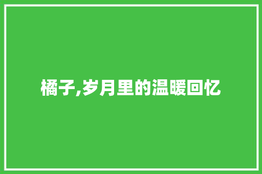 橘子,岁月里的温暖回忆