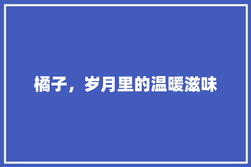 橘子，岁月里的温暖滋味