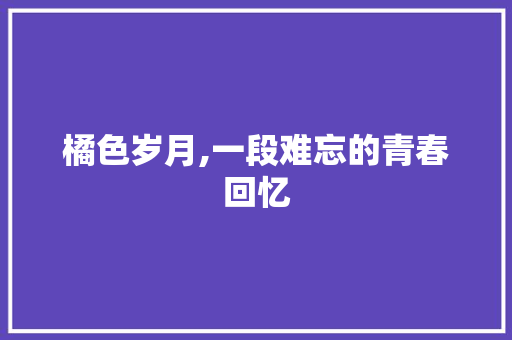 橘色岁月,一段难忘的青春回忆