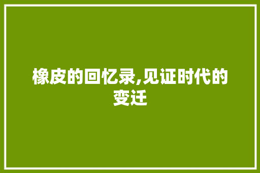 橡皮的回忆录,见证时代的变迁