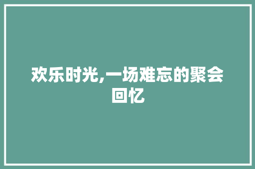 欢乐时光,一场难忘的聚会回忆