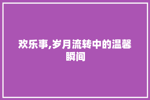 欢乐事,岁月流转中的温馨瞬间