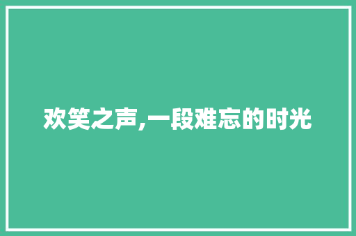 欢笑之声,一段难忘的时光