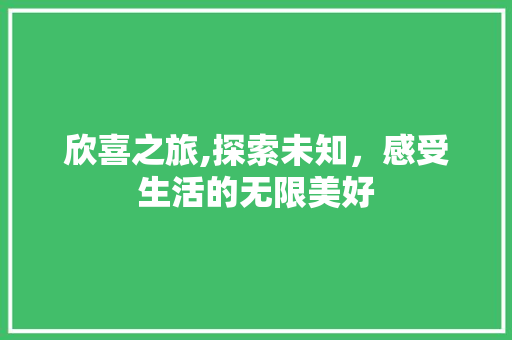 欣喜之旅,探索未知，感受生活的无限美好