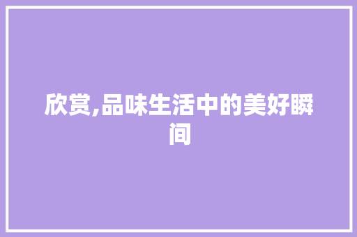 欣赏,品味生活中的美好瞬间