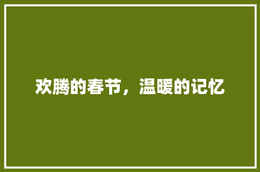 欢腾的春节，温暖的记忆