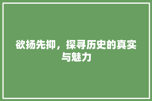 欲扬先抑，探寻历史的真实与魅力