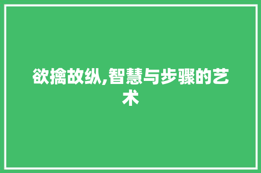 欲擒故纵,智慧与步骤的艺术