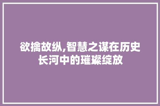 欲擒故纵,智慧之谋在历史长河中的璀璨绽放