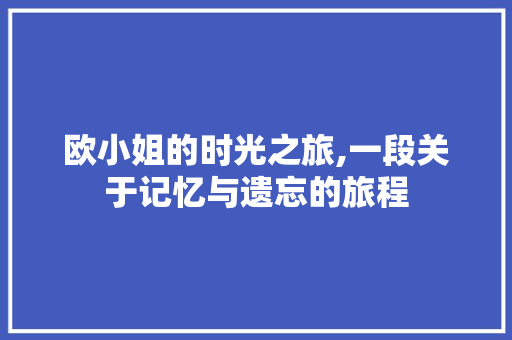 欧小姐的时光之旅,一段关于记忆与遗忘的旅程