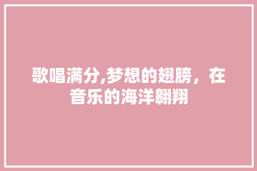 歌唱满分,梦想的翅膀，在音乐的海洋翱翔