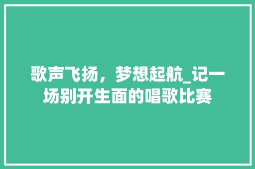 歌声飞扬，梦想起航_记一场别开生面的唱歌比赛