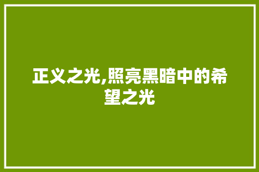 正义之光,照亮黑暗中的希望之光