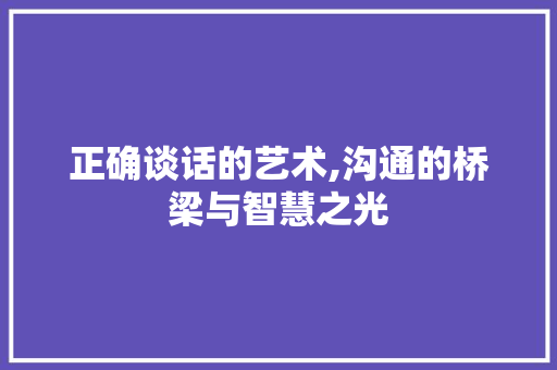 正确谈话的艺术,沟通的桥梁与智慧之光