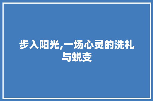 步入阳光,一场心灵的洗礼与蜕变