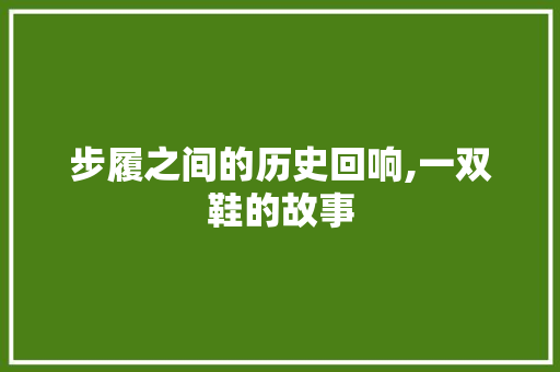 步履之间的历史回响,一双鞋的故事