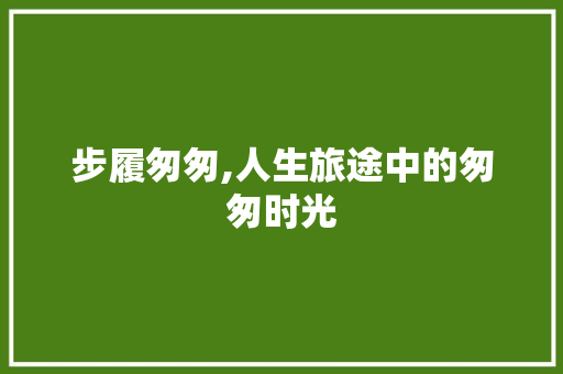 步履匆匆,人生旅途中的匆匆时光