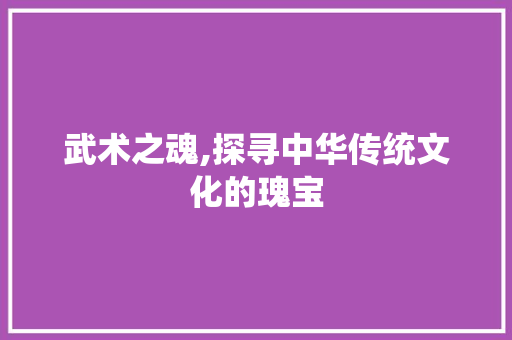 武术之魂,探寻中华传统文化的瑰宝