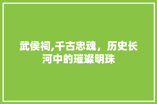 武侯祠,千古忠魂，历史长河中的璀璨明珠