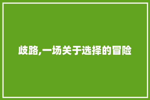 歧路,一场关于选择的冒险