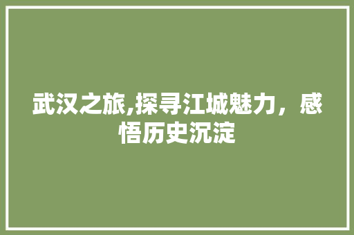 武汉之旅,探寻江城魅力，感悟历史沉淀